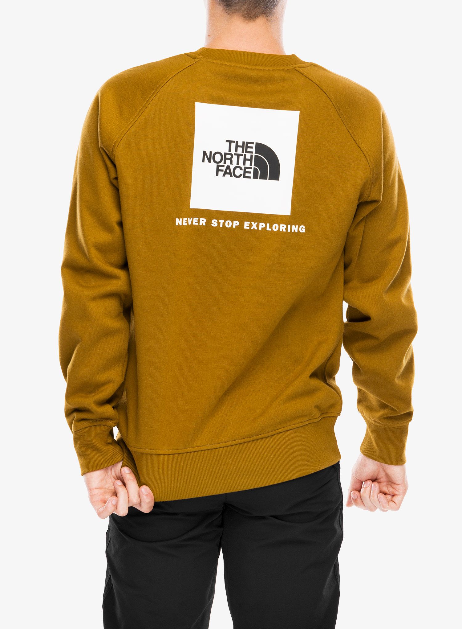 Mikina bez kapuce The North Face Raglan Redbox Crew - moss green