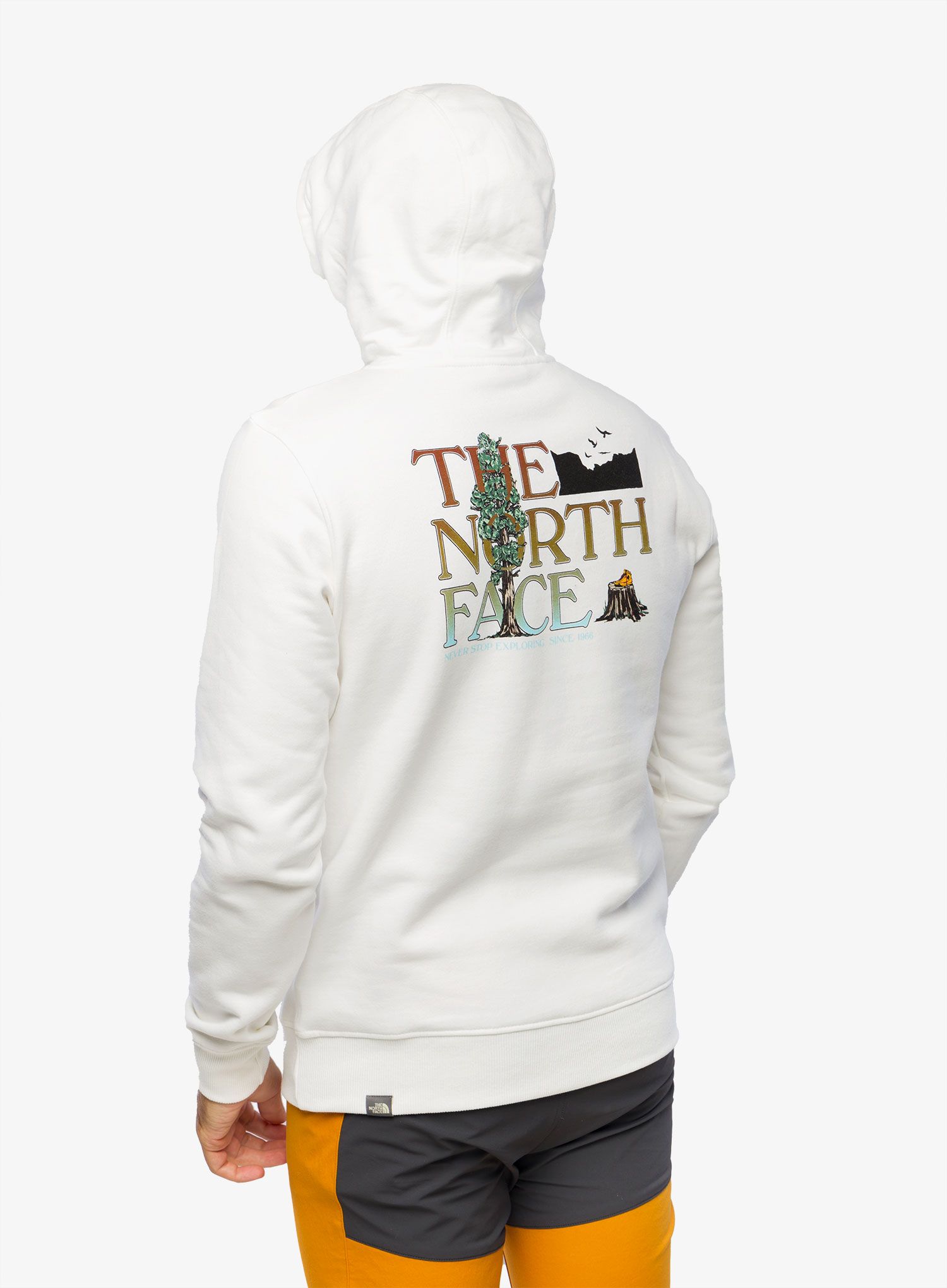 Mikina s kapucí The North Face Seasonal Graphic Hoodie - white/brown