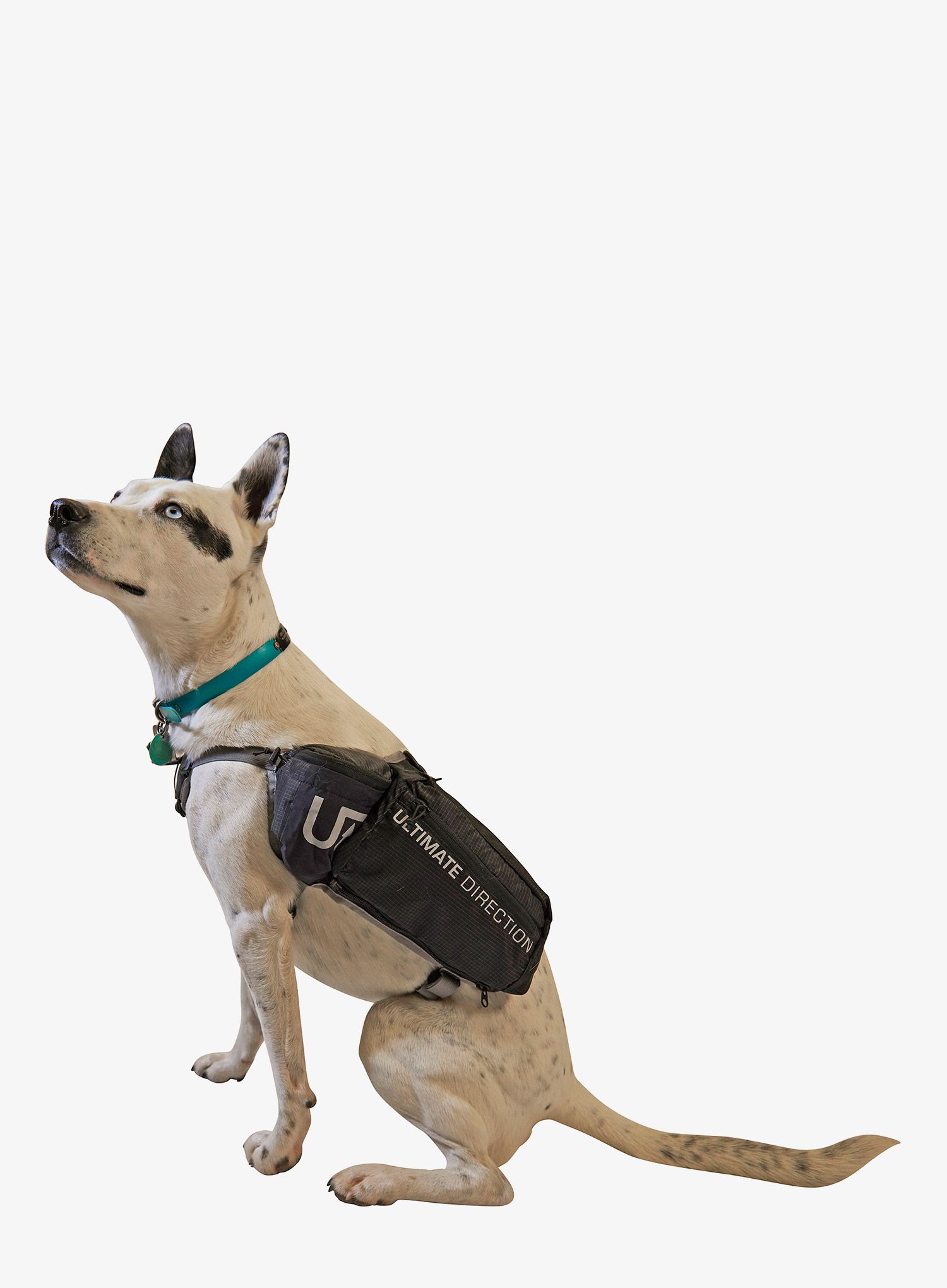 Brašny pro psa Ulimate Direction Dog Vest - black