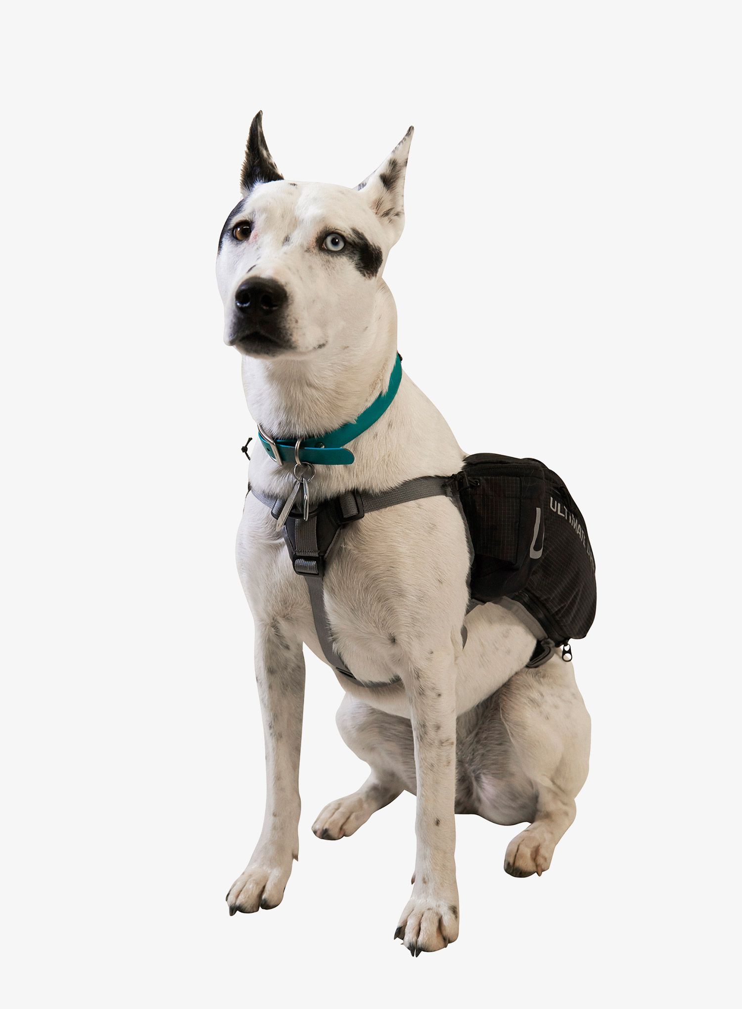 Brašny pro psa Ulimate Direction Dog Vest - black