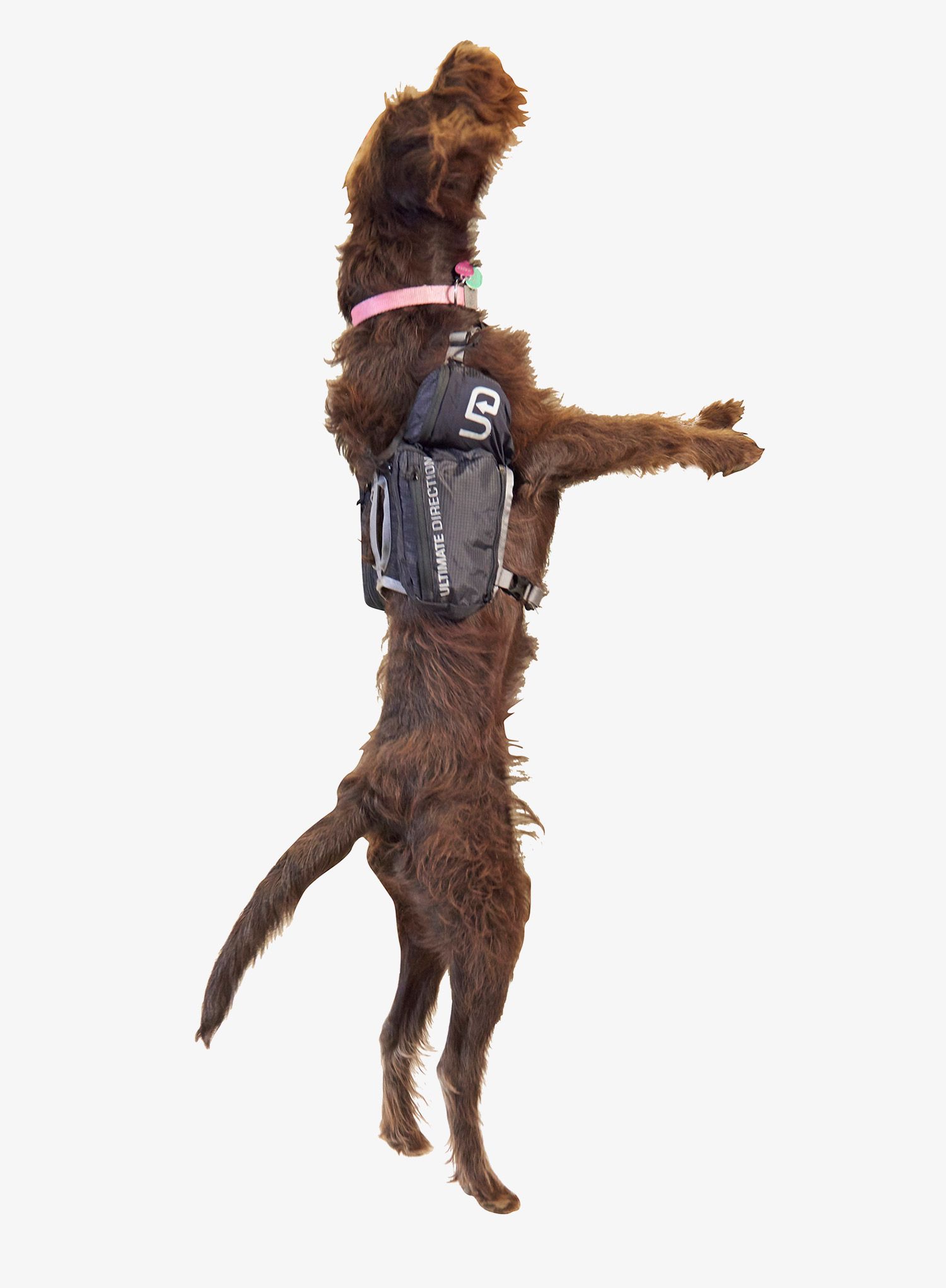Brašny pro psa Ulimate Direction Dog Vest - black