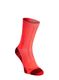 Běžecké ponožky X-Socks Trail Run Discover Crew - fluo red/namib red
