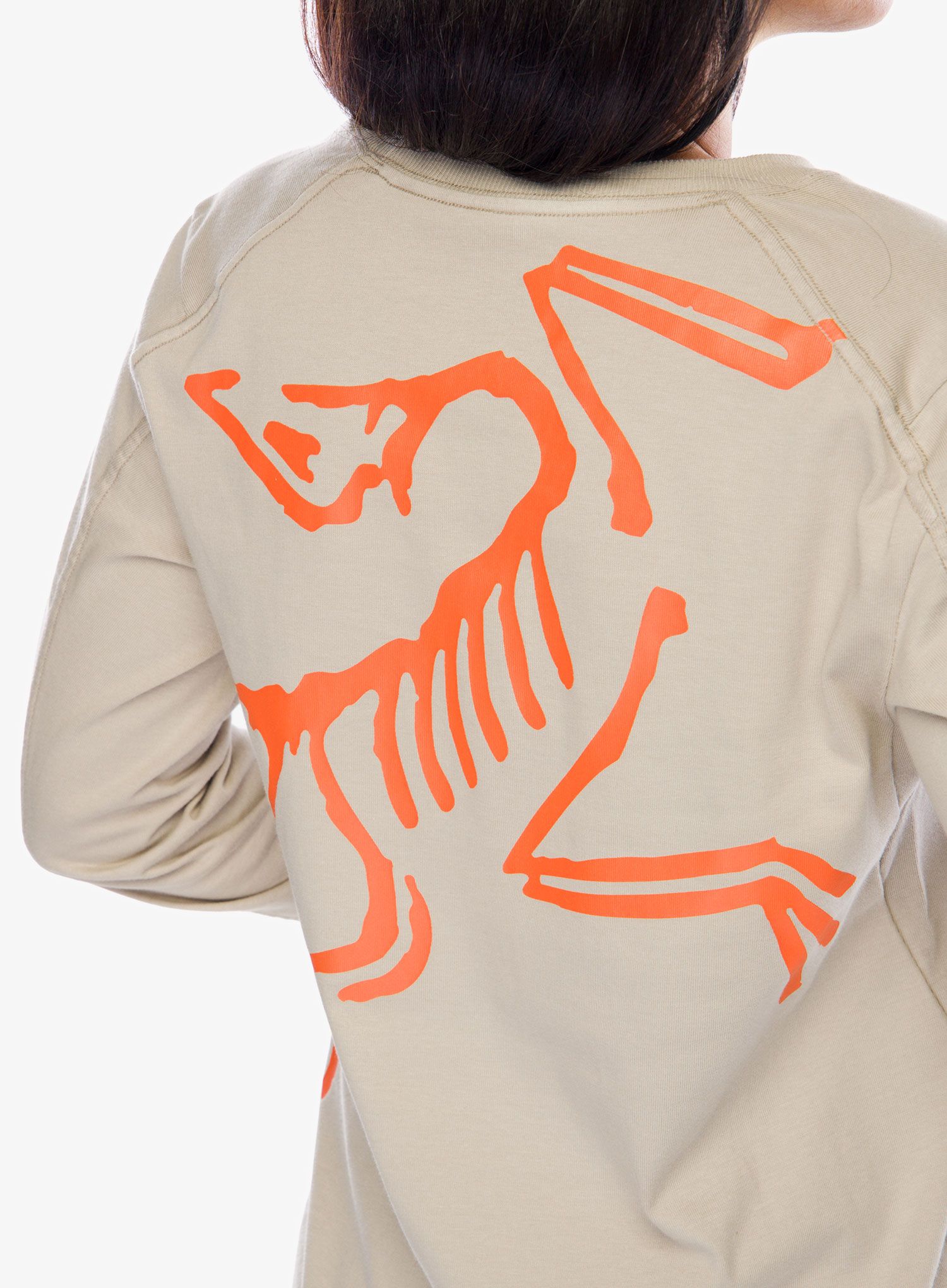 Dámská mikina Arcteryx Kragg Cotton Bird Crew LS - rune/solaris