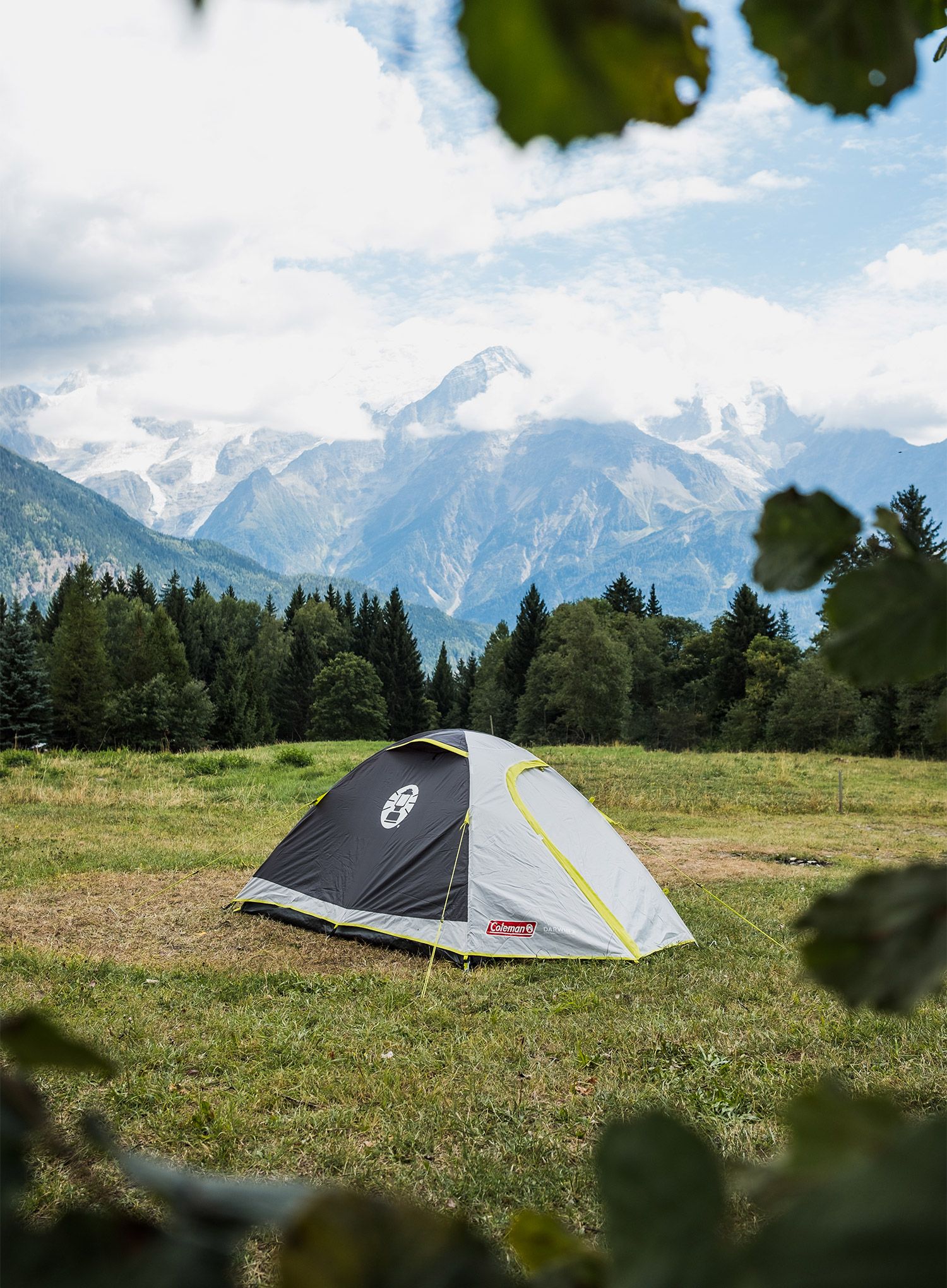 Stan pro 3 Coleman Darwin 3 Plus - grey/green