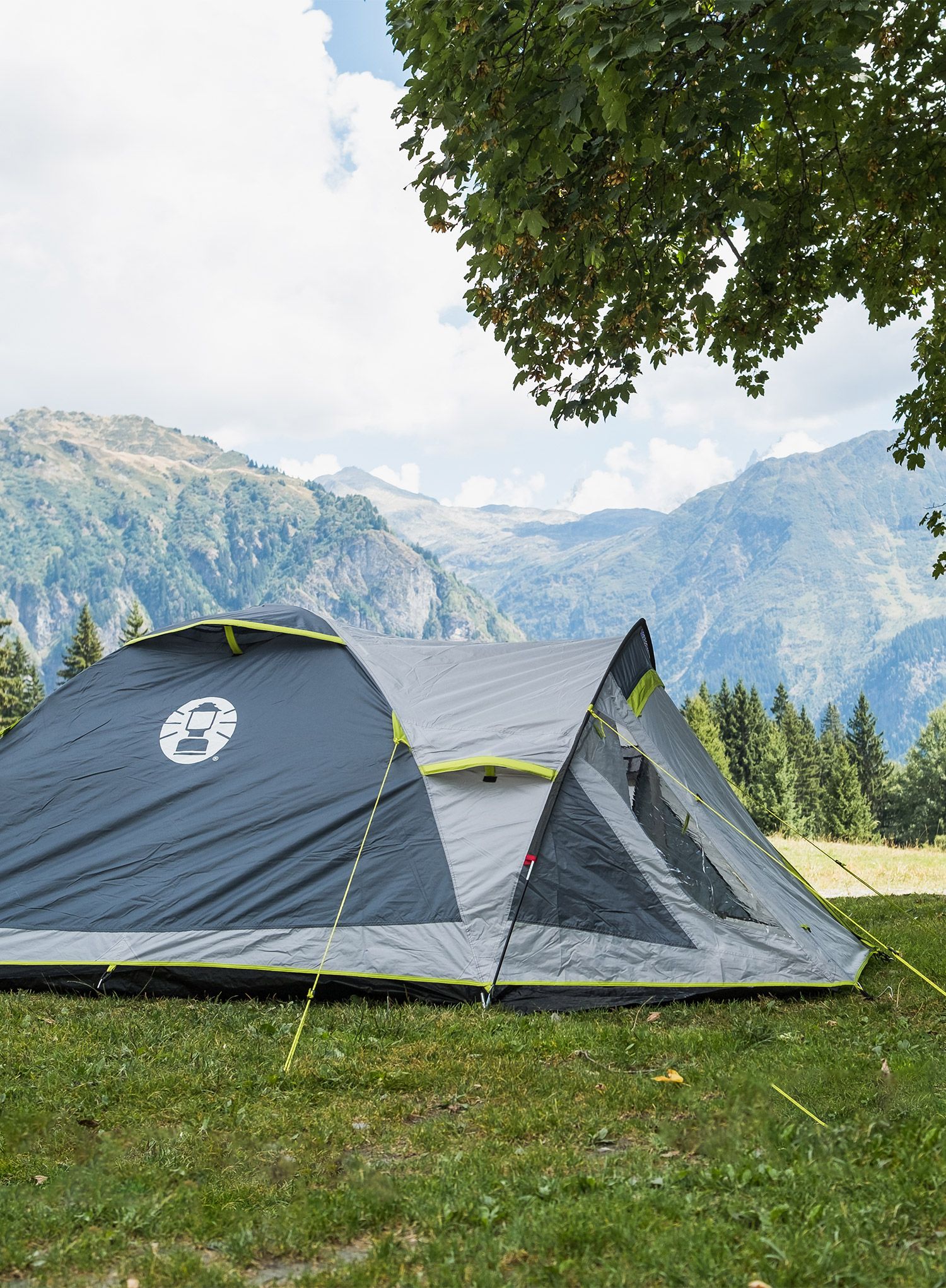 Stan pro 3 Coleman Darwin 3 Plus - grey/green