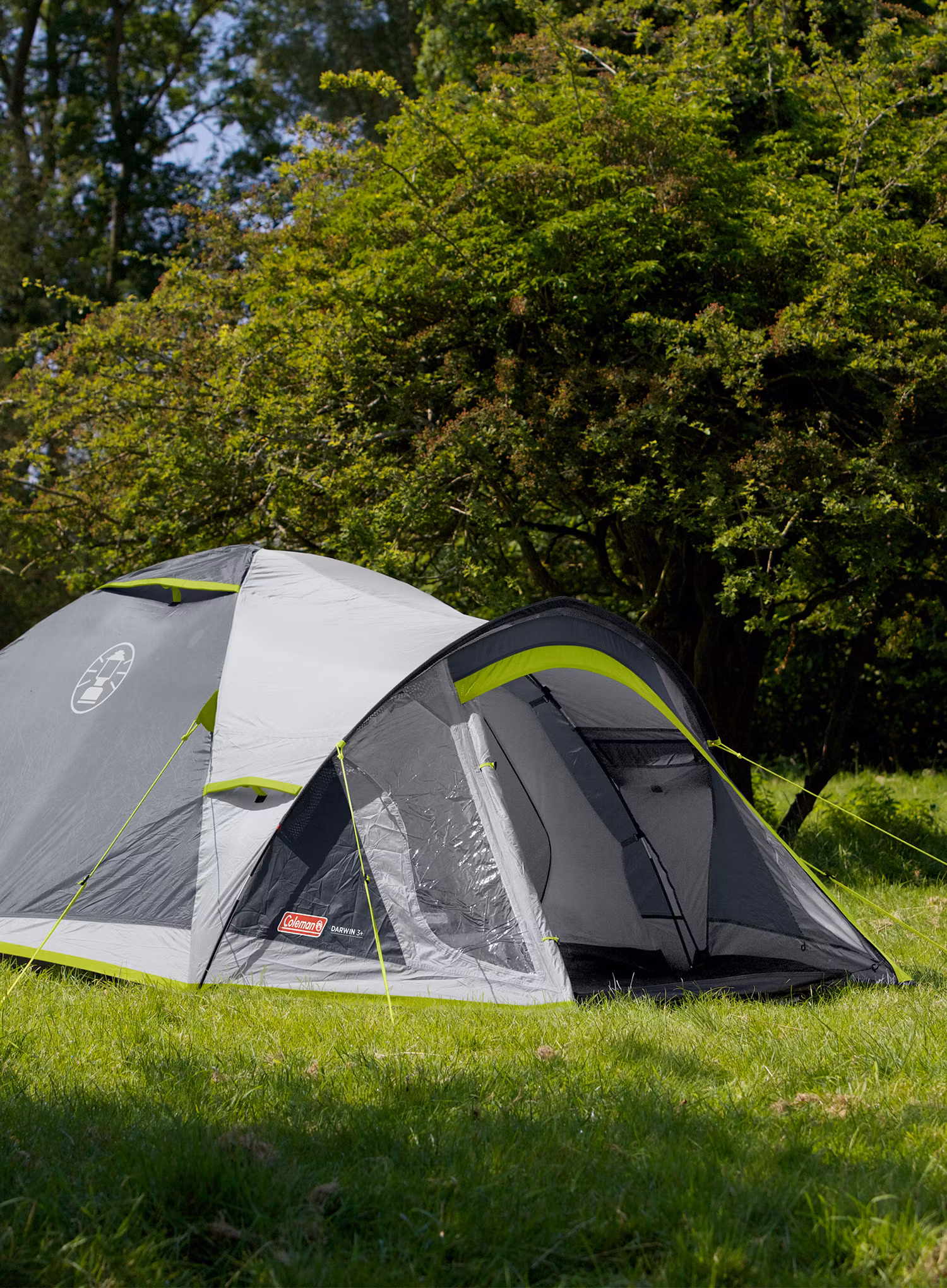 Stan pro 3 Coleman Darwin 3 Plus - grey/green