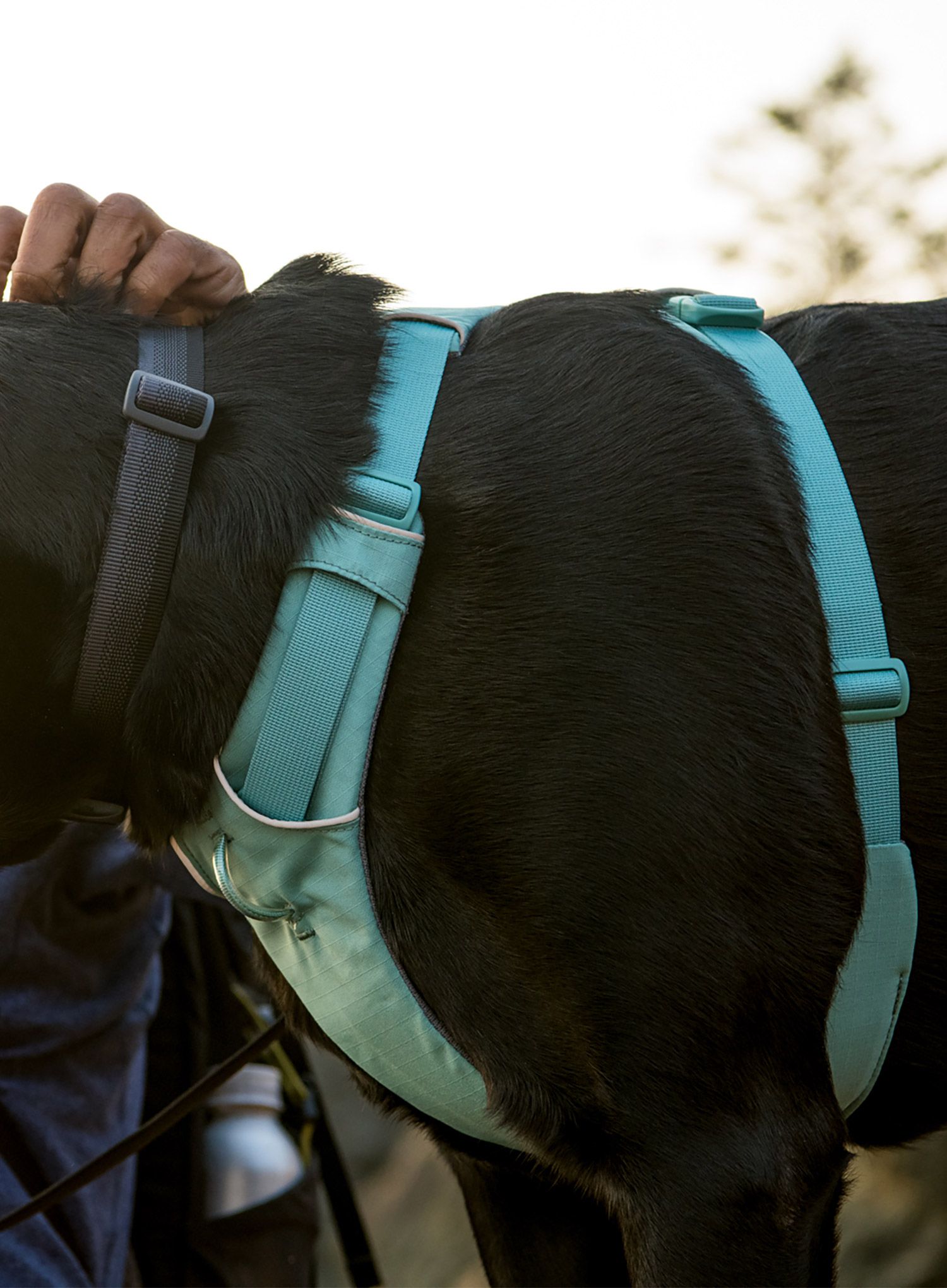 Postroj na psa Ruffwear Front Range Harness XS - river rock green