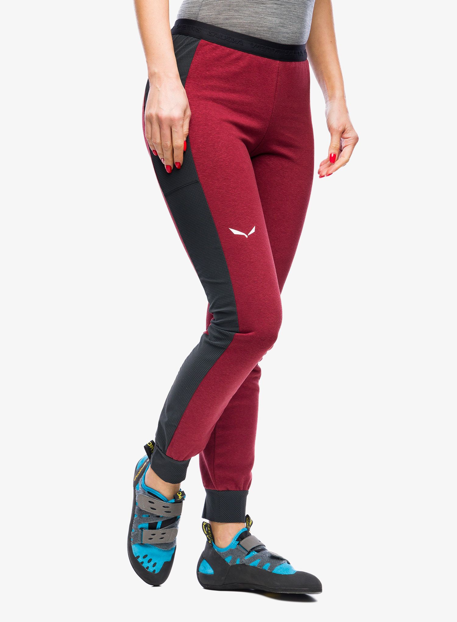 Lezecké kalhoty dámské Salewa Lavaredo Hemp Train Pants - syrah