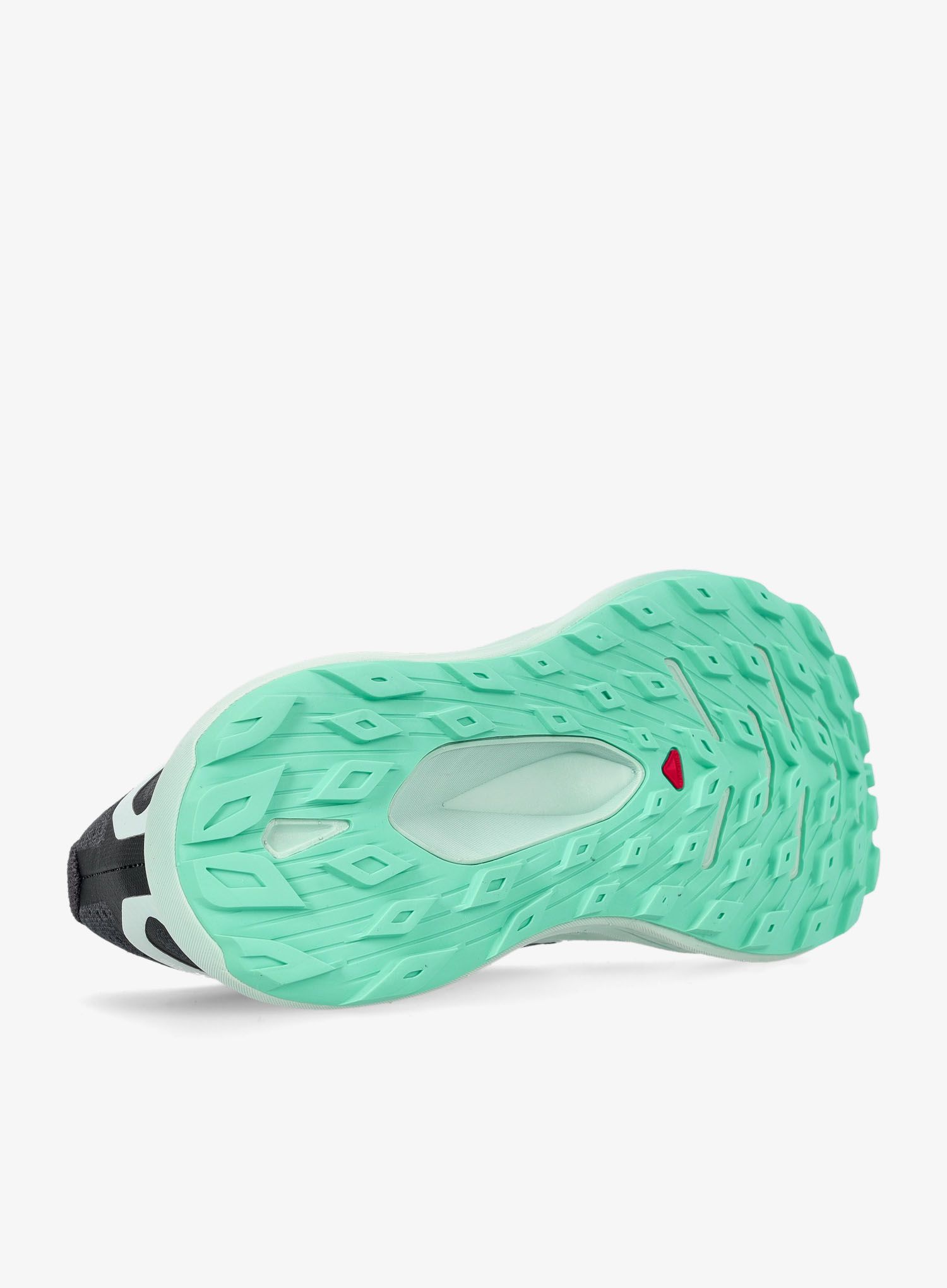 Dámské trailové boty Salomon Glide Max Tr - ebony/blu