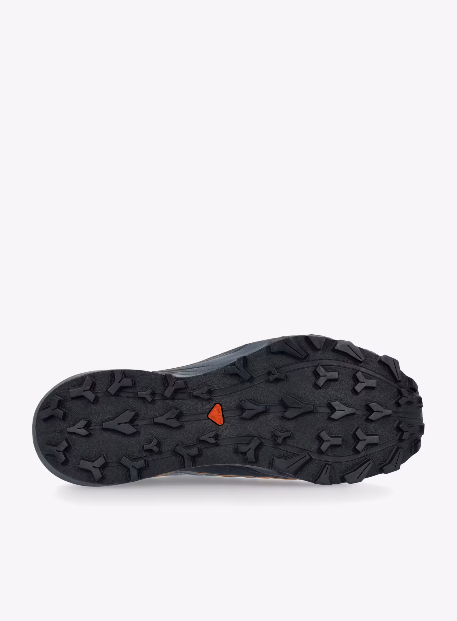 Boty na běhání pánské Salomon Thundercross GTX - flint/carbon/orange