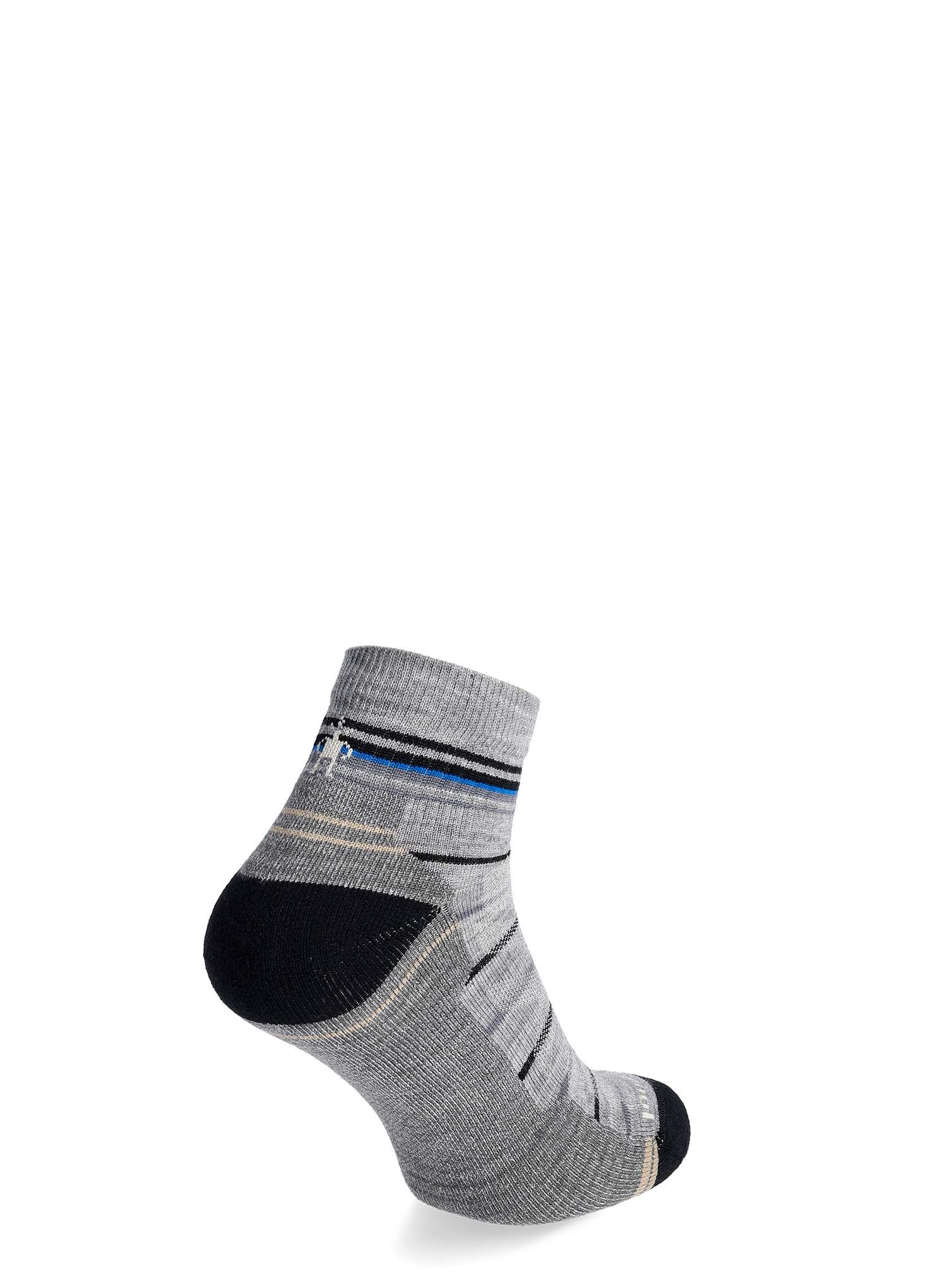 Turistické ponožky Smartwool Performance Hike Light Cushion - gray