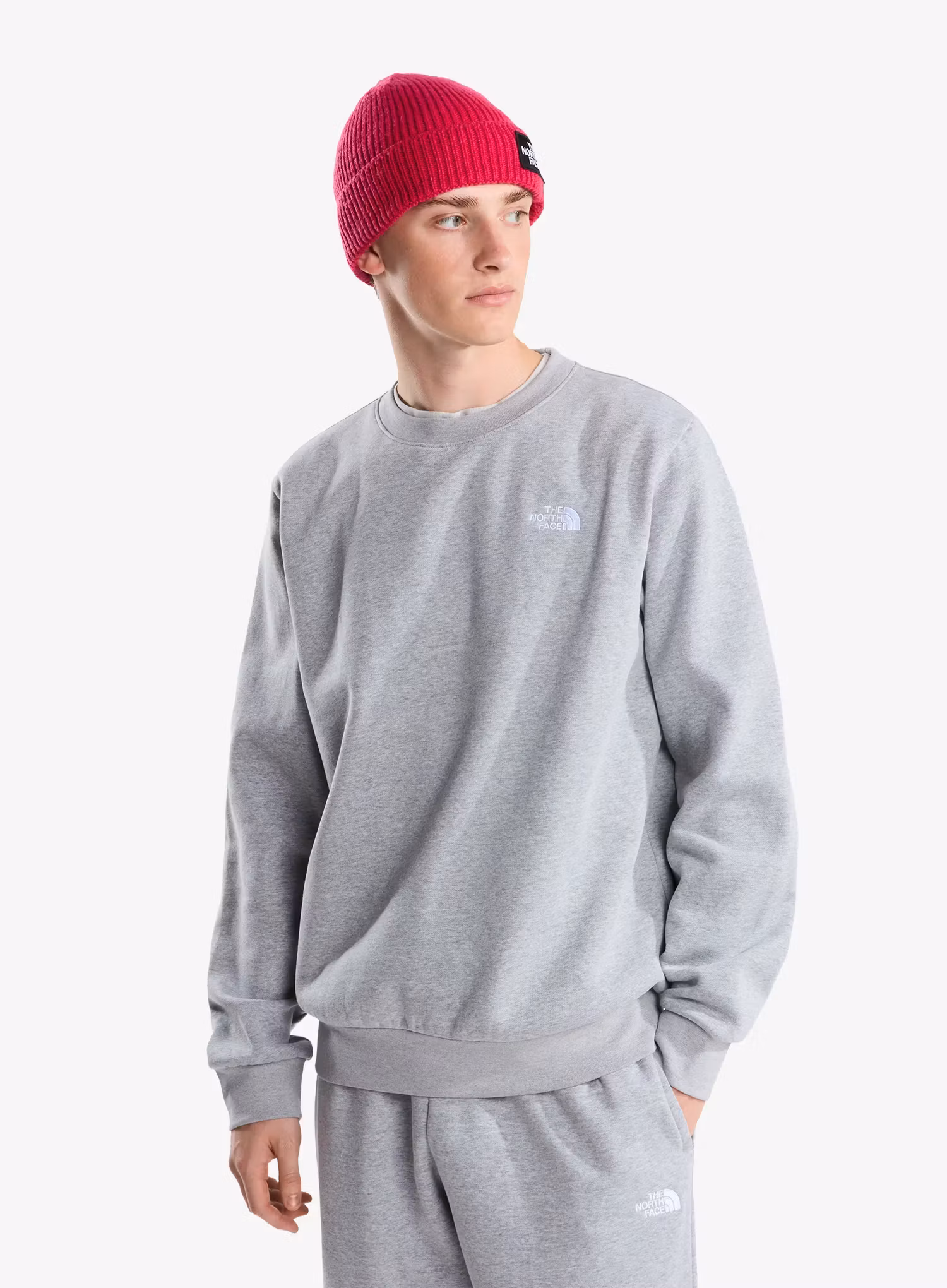 TheNorthFaceEvolutionSimpleDomeRegularCrew_palegreyheather_fw26_198266094472_1_160.webp