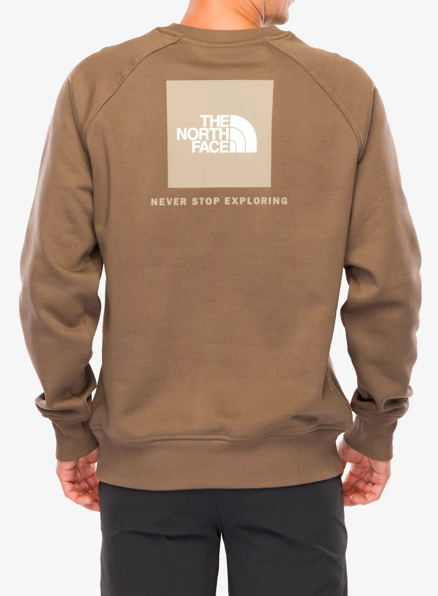 Mikina bez kapuce The North Face Raglan Redbox Crew - mocha brown/mushroom