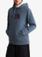 Dámská mikina The North Face Drew Peak Pullover Hoodie - granite grey/purple