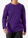 qweArcteryxKraggCottonBirdCrewLS_azaleaaster623555707950a.webp