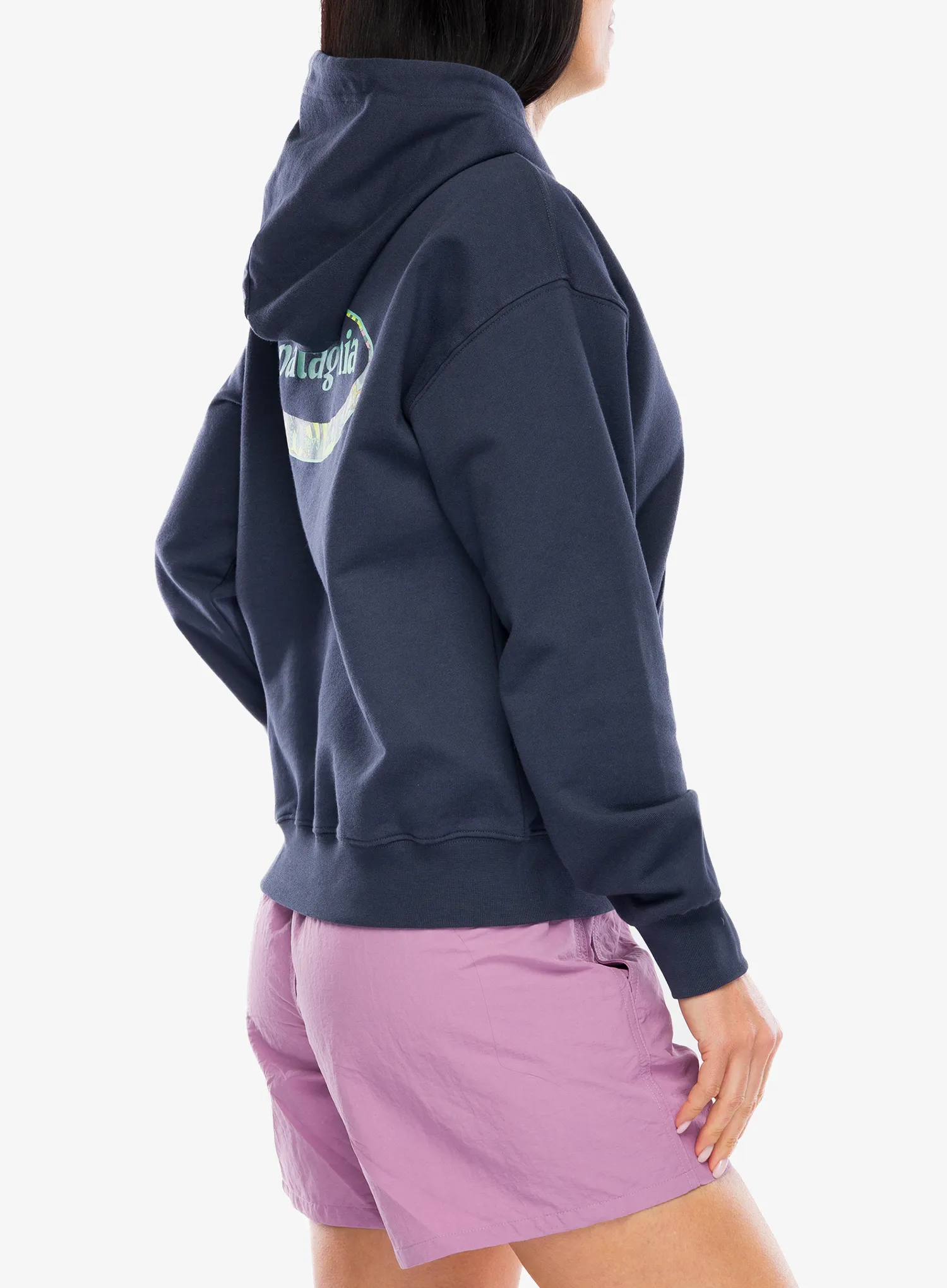Dámská mikina s kapucí Patagonia 95 Oval Logo Daily Hoody - smolder blue: moon tripper