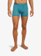 qweIcebreakerMerino125ZoneKnitBoxers_topaz198265232691a.webp