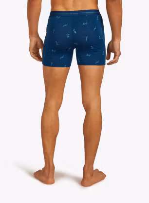 Funkční boxerky Icebreaker Merino 150 Anatomica Boxers Ski Day - atlantis/topaz/aop