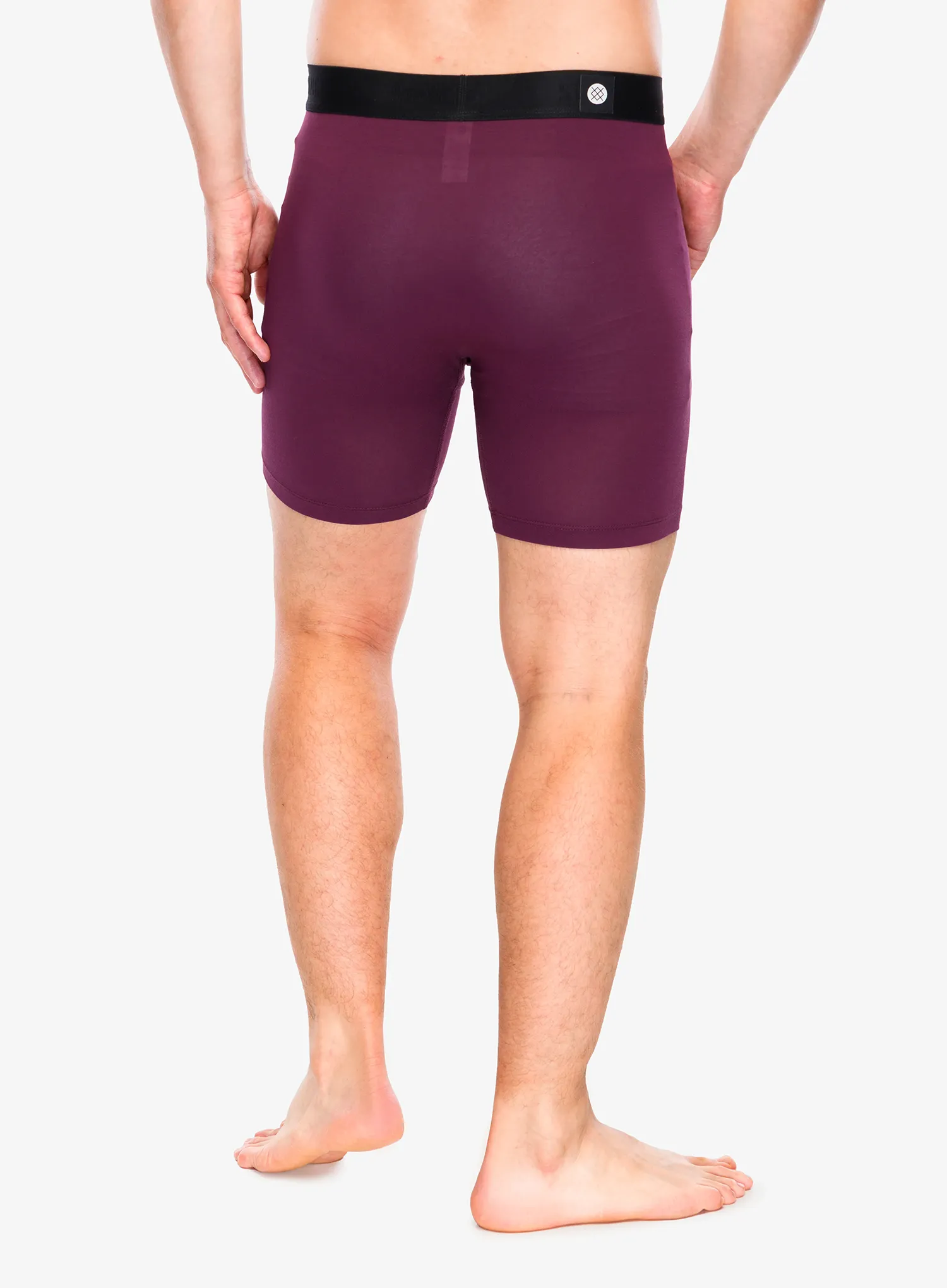 Funkční boxerky Stance Fig Wholester - fig