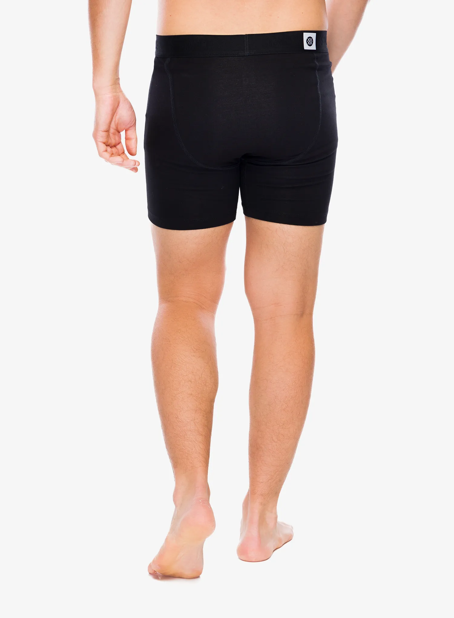 Funkční boxerky Stance Standard 6in Boxer Brief - black