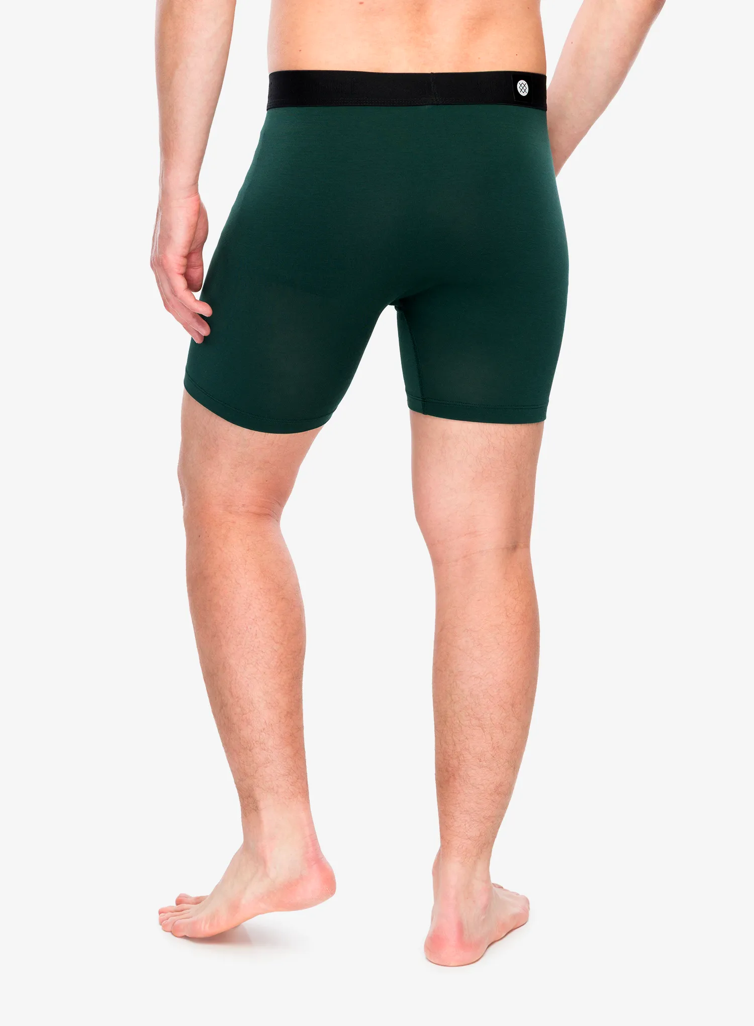 Funkční boxerky Stance The Boxer Brief - pine wholester