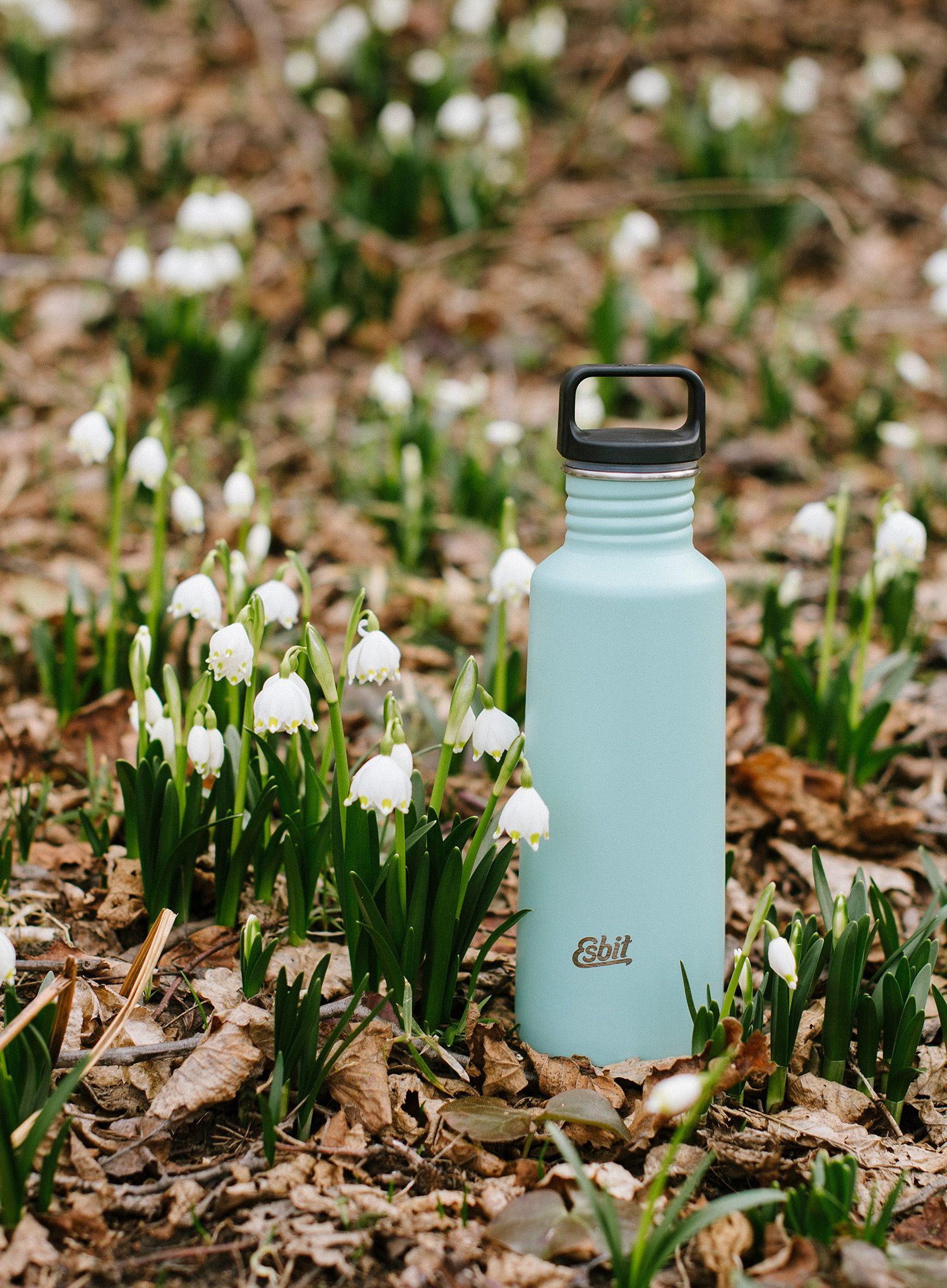 Cestovní láhev Esbit Pictor Sports Bottle 750ml - lind