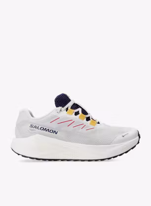 SalomonAeroBlaze3GrvlGTX_vanilaastral198720089785a.webp