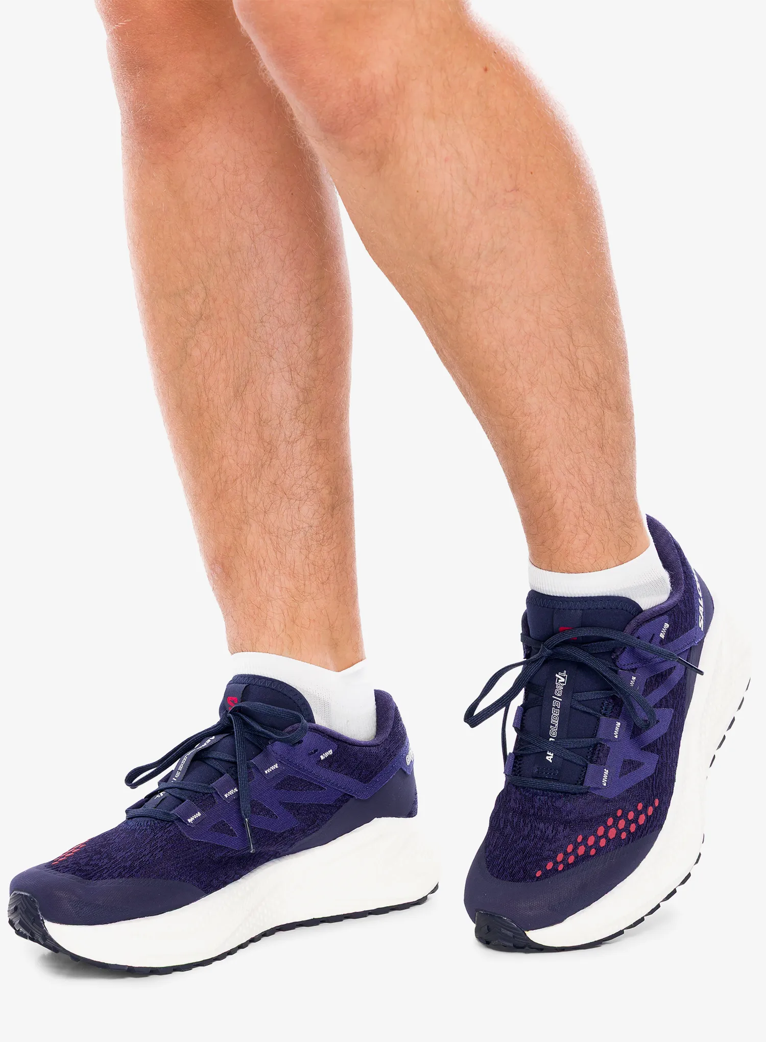 Běžecké boty pánské Salomon Aero Glide 3 GRVL - astral/vanila/haute