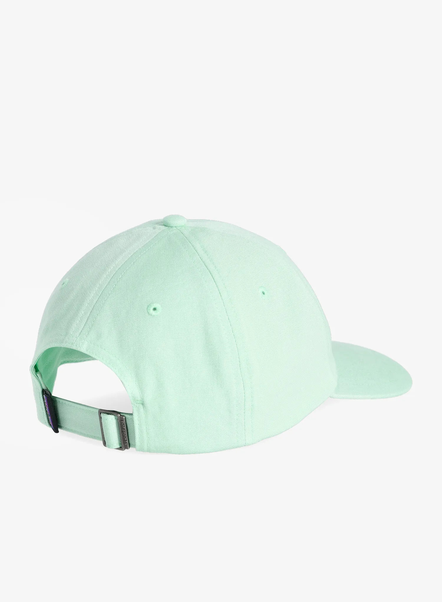 Čepice Patagonia P-6 Label Trad Cap - rinsed green