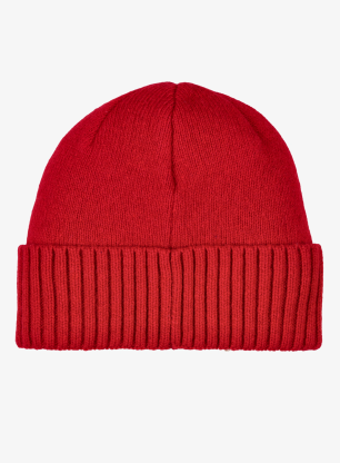 Zimní čepice Patagonia Brodeo Beanie - oval logo/amanita red