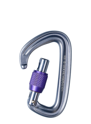 Karabina Black Diamond LiteForge Screwgate - gray
