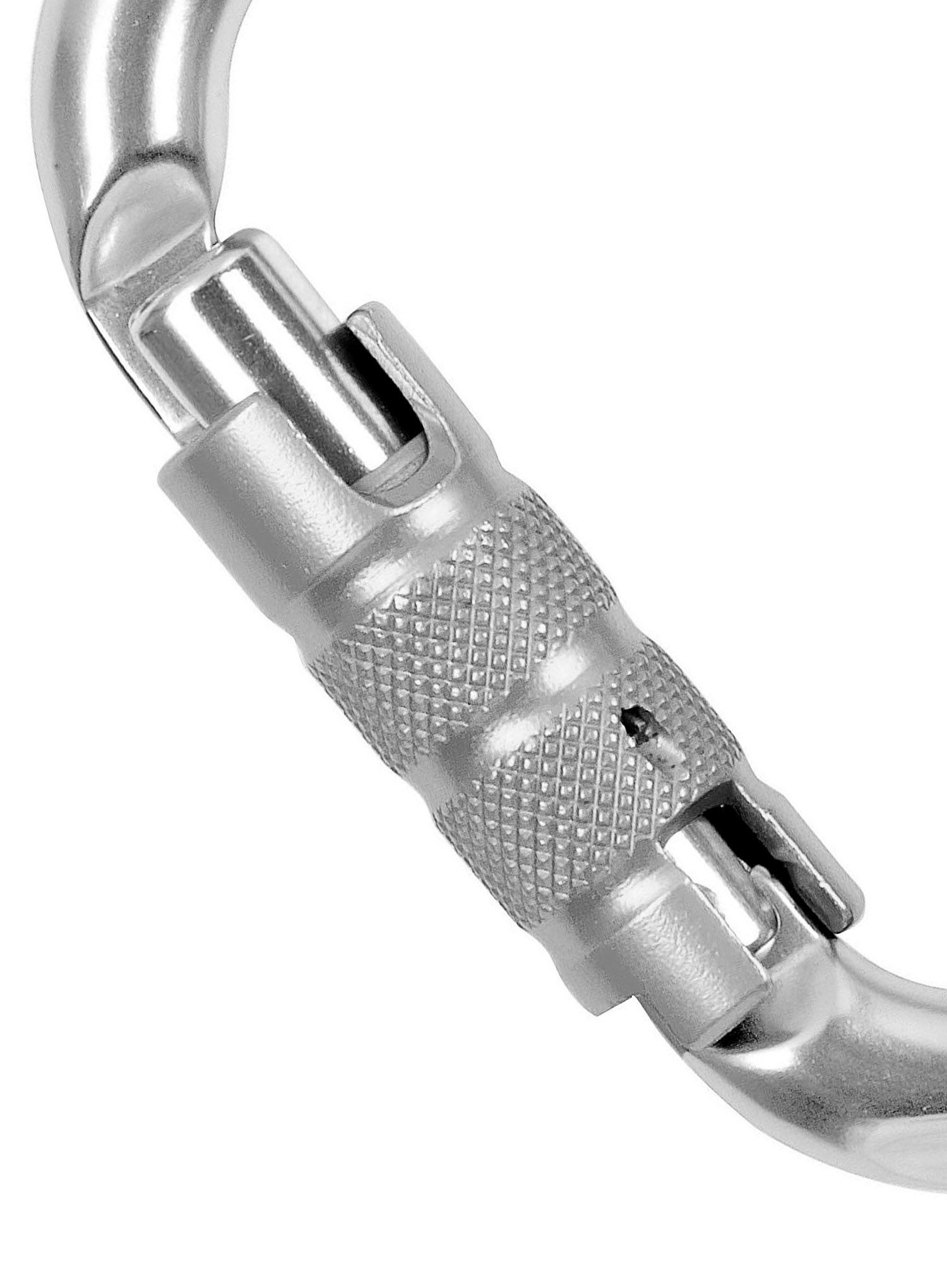Horolezecká karabina Climbing Technology/SKYLOTEC Snappy CF TG - silver