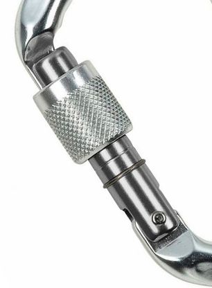 Horolezecká karabina Climbing Technology/SKYLOTEC D-Shape CF SG - silver