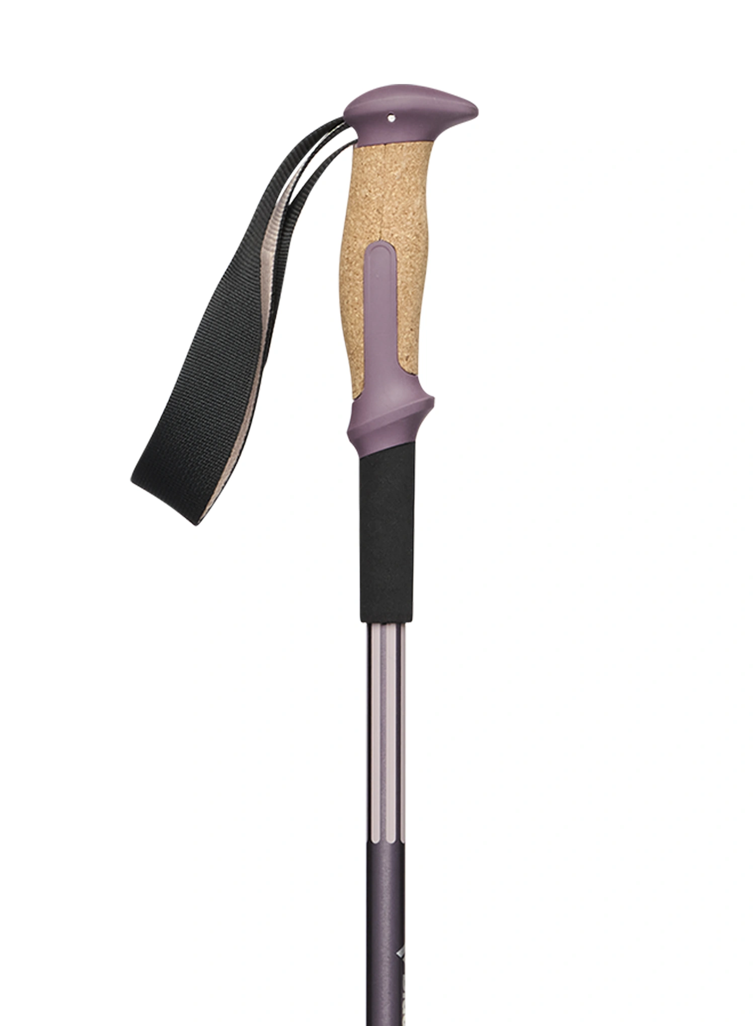 Trekové hole Black Diamond Trail Vista Shock Trek Poles - dark