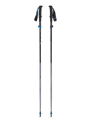 Běžecké hole Black Diamond Distance FLZ Poles - pewter