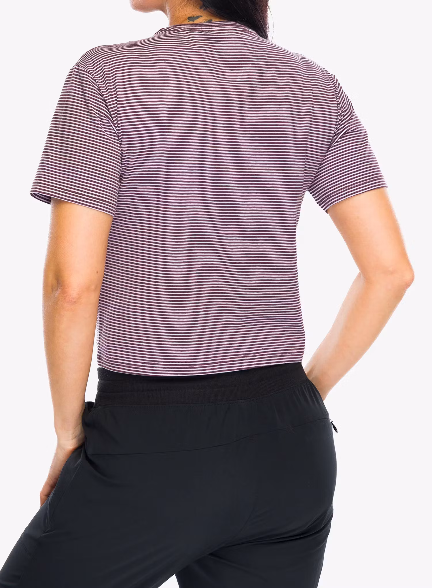 Bavlněné tričko dámské Black Diamond BD Stripe SS Tee - fig/soft lilac