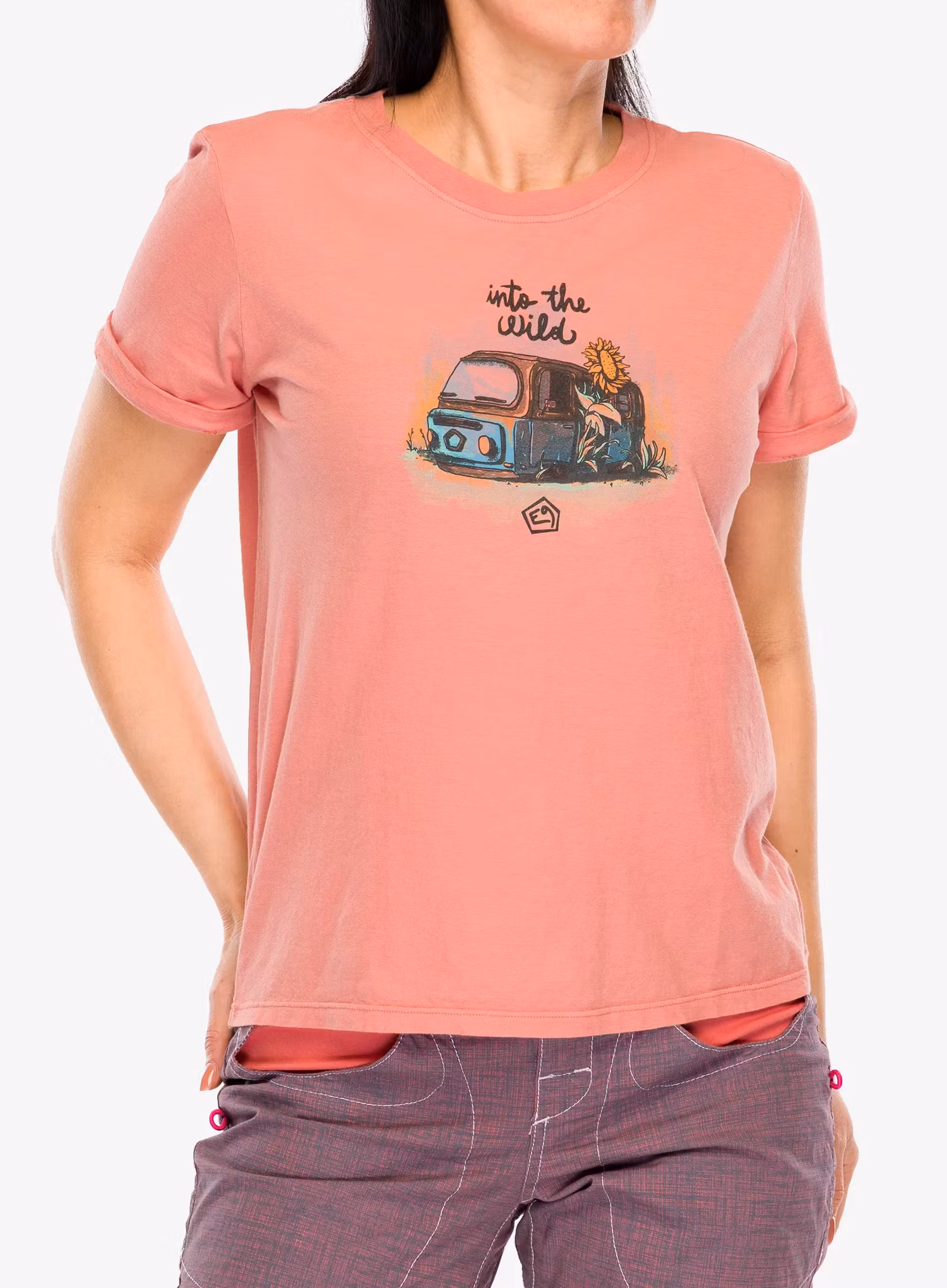 E9Wild_flamingo8055385528979c.webp
