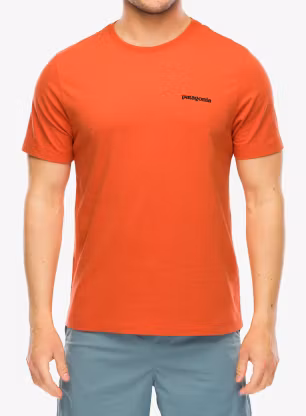 PatagoniaP_6LogoT_Shirtcoalorange198077721789a.webp