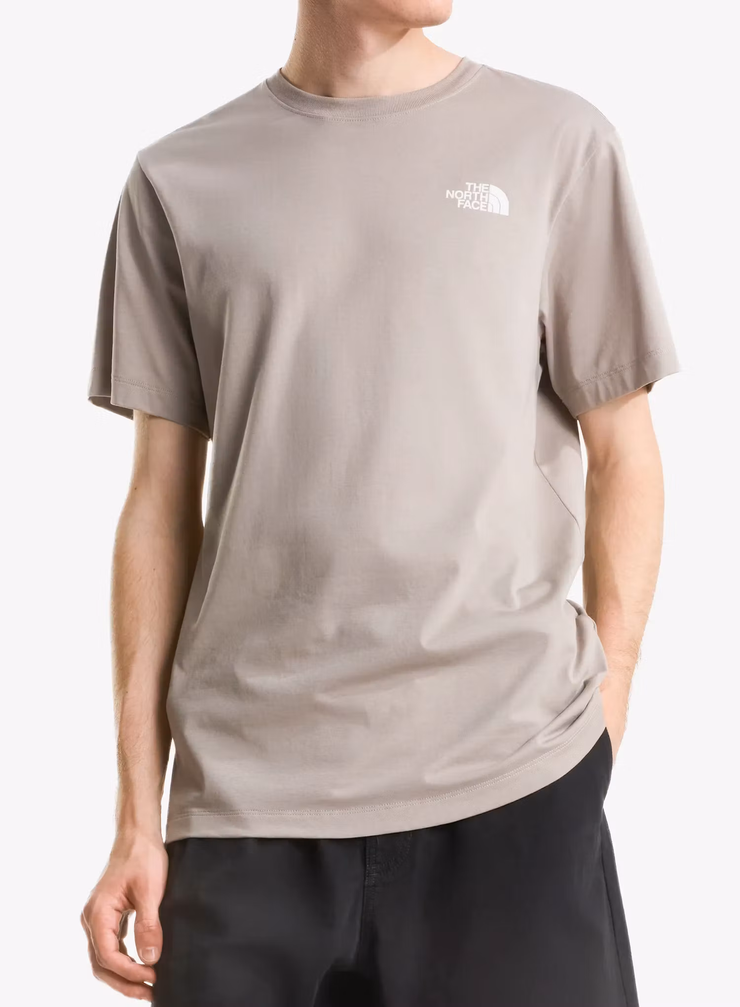 qweTheNorthFaceEvolutionBoxNseRegularShortSleevestoneslab198266063485a.webp