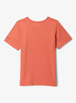 Chlapecké tričko Columbia Tech Trail Short Sleeve Graphic Shirt - tuscan/ridge line life