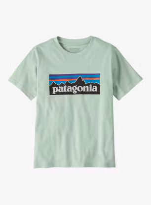 PatagoniaP_6LogoT_Shirt_thinice_794.webp