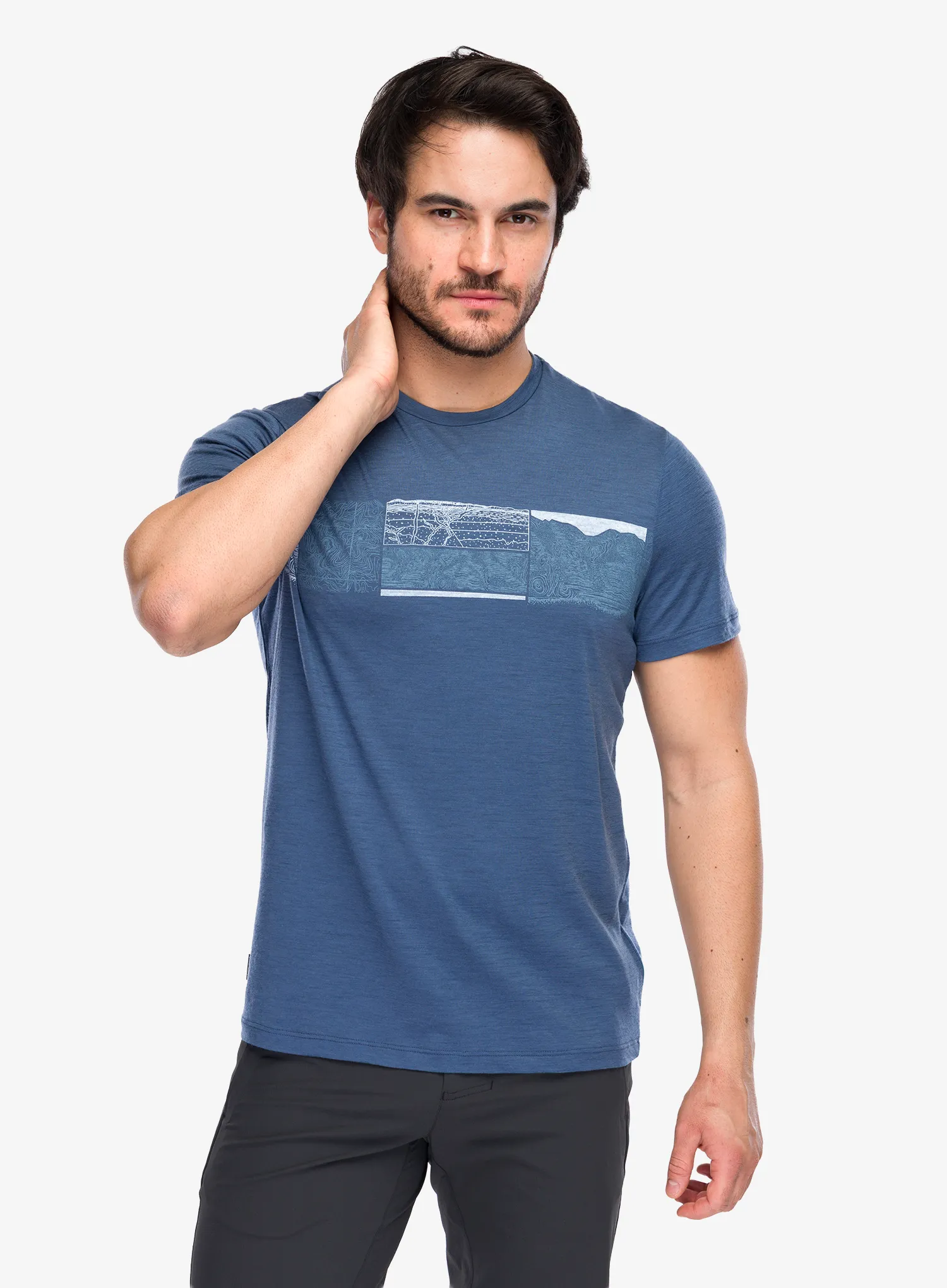 Merino triko Icebreaker Merino 150 Tech Lite SS Tee Elevation Line - dawn