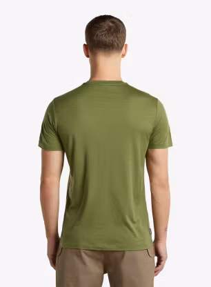 Merino triko Icebreaker Merino 150 Tech Lite SS Tee IB Coordinates - sphagnum