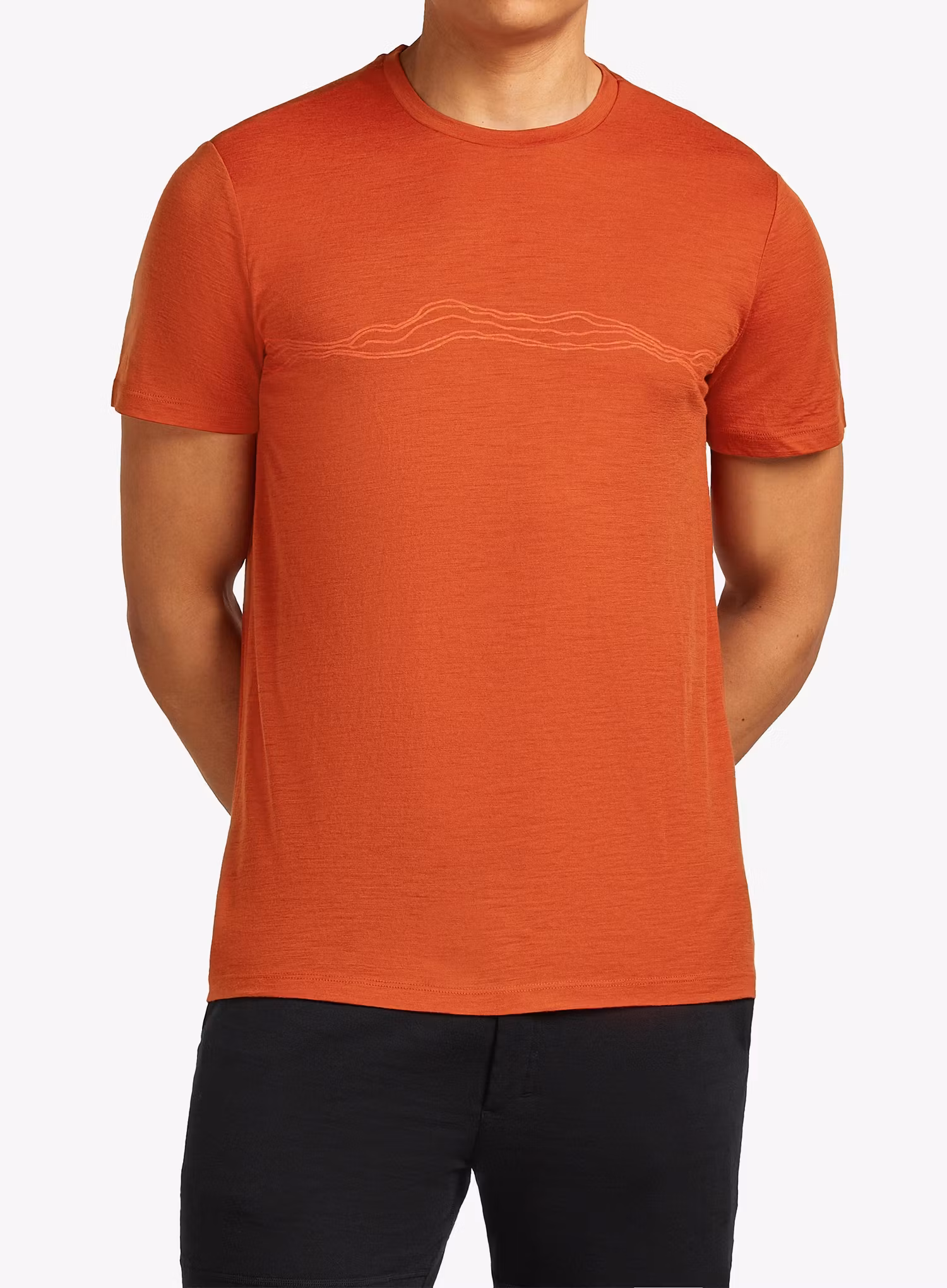 qweIcebreakerMerino150TechLiteSSTeeMountainPulse_agate198265223446a.webp