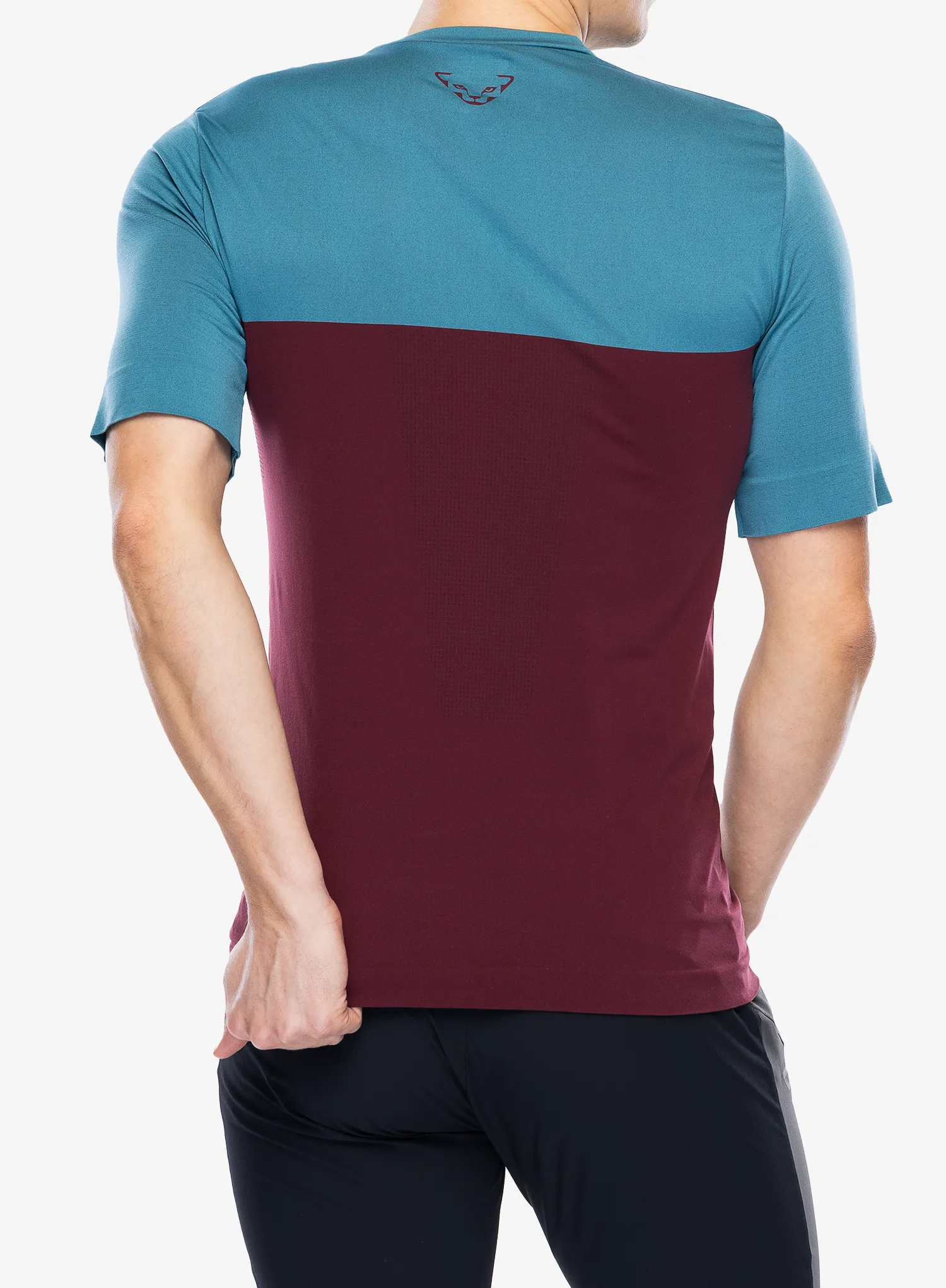 Rychleschnoucí triko Dynafit Traverse S-Tech S/S Tee - burgundy/storm blue