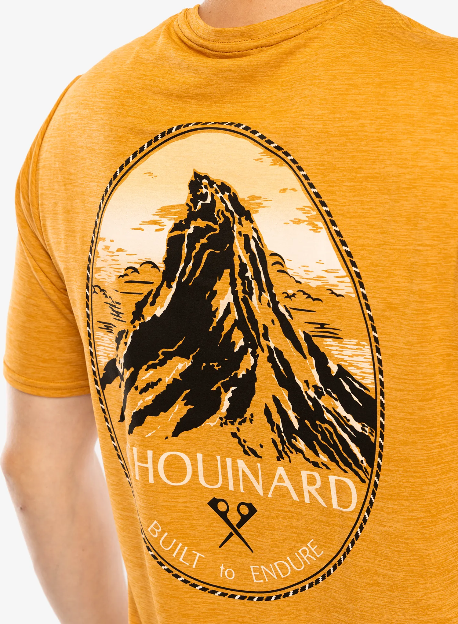 Rychleschnoucí triko Patagonia Cap Cool Daily Graphic Shirt Lands - chouinard crest/talon gold