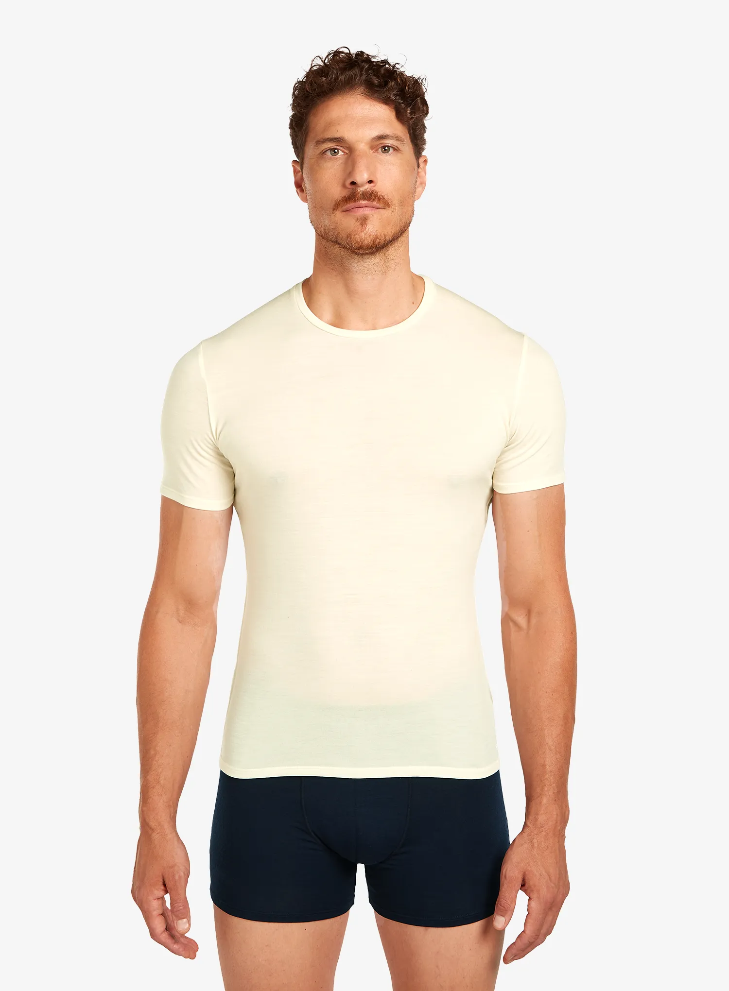qweIcebreakerAnatomicaSSCreweundyed195437908644A.webp
