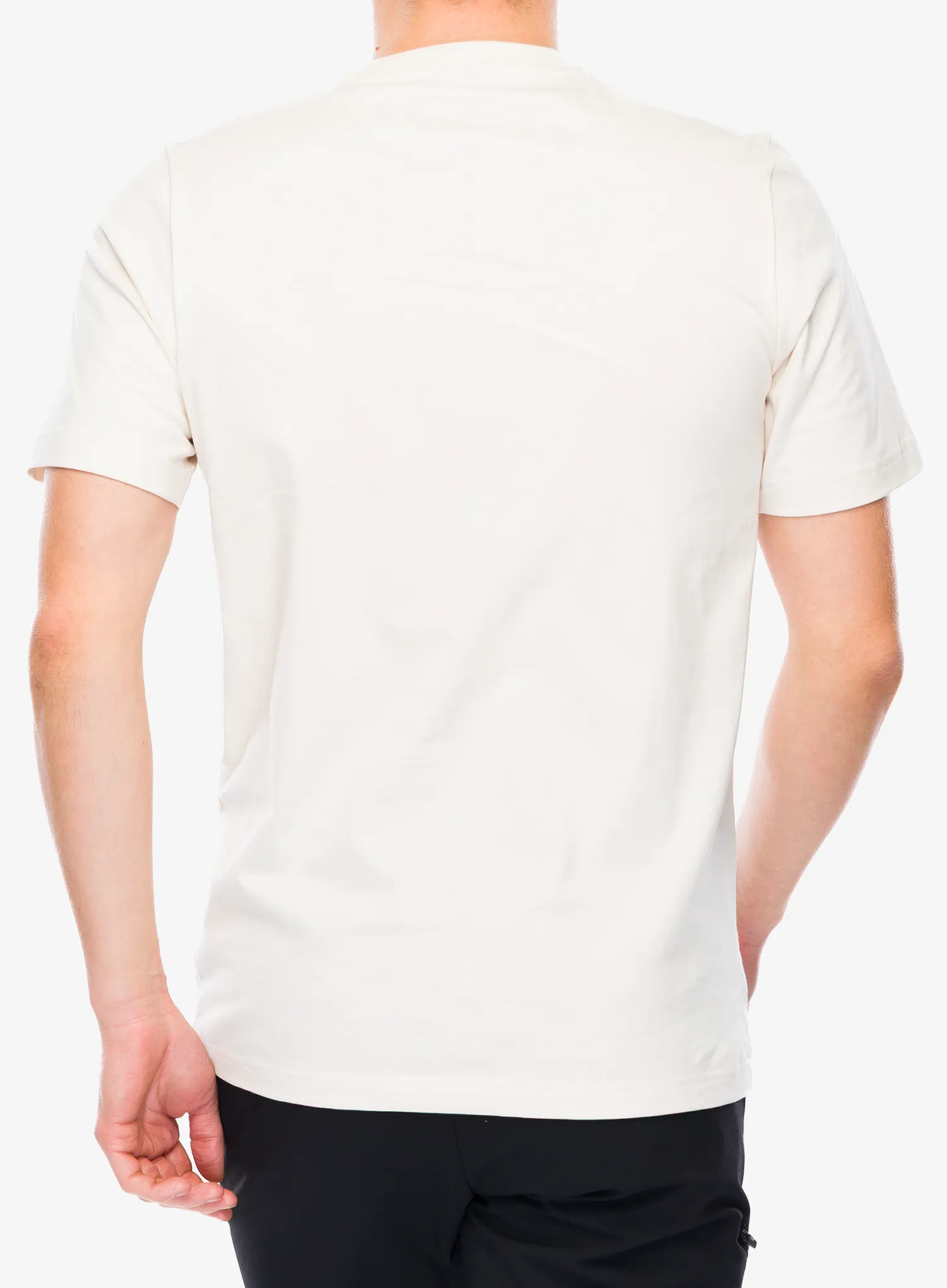 Tričko s potiskem adidas TERREX Wild Tee - wonder white