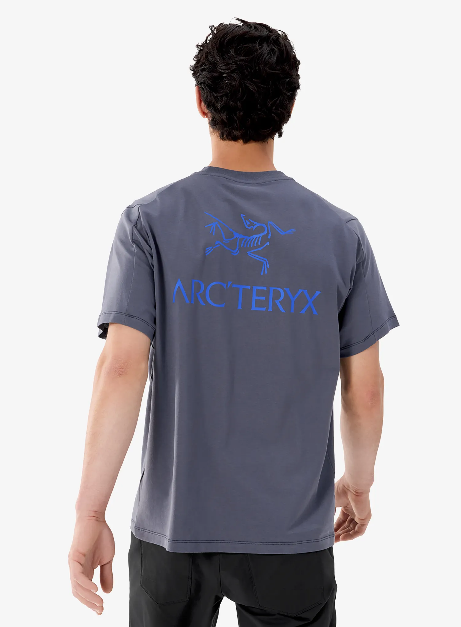 Tričko s potiskem Arcteryx Kragg SL Cotton Bird Word SS - dk stratus/fluidity