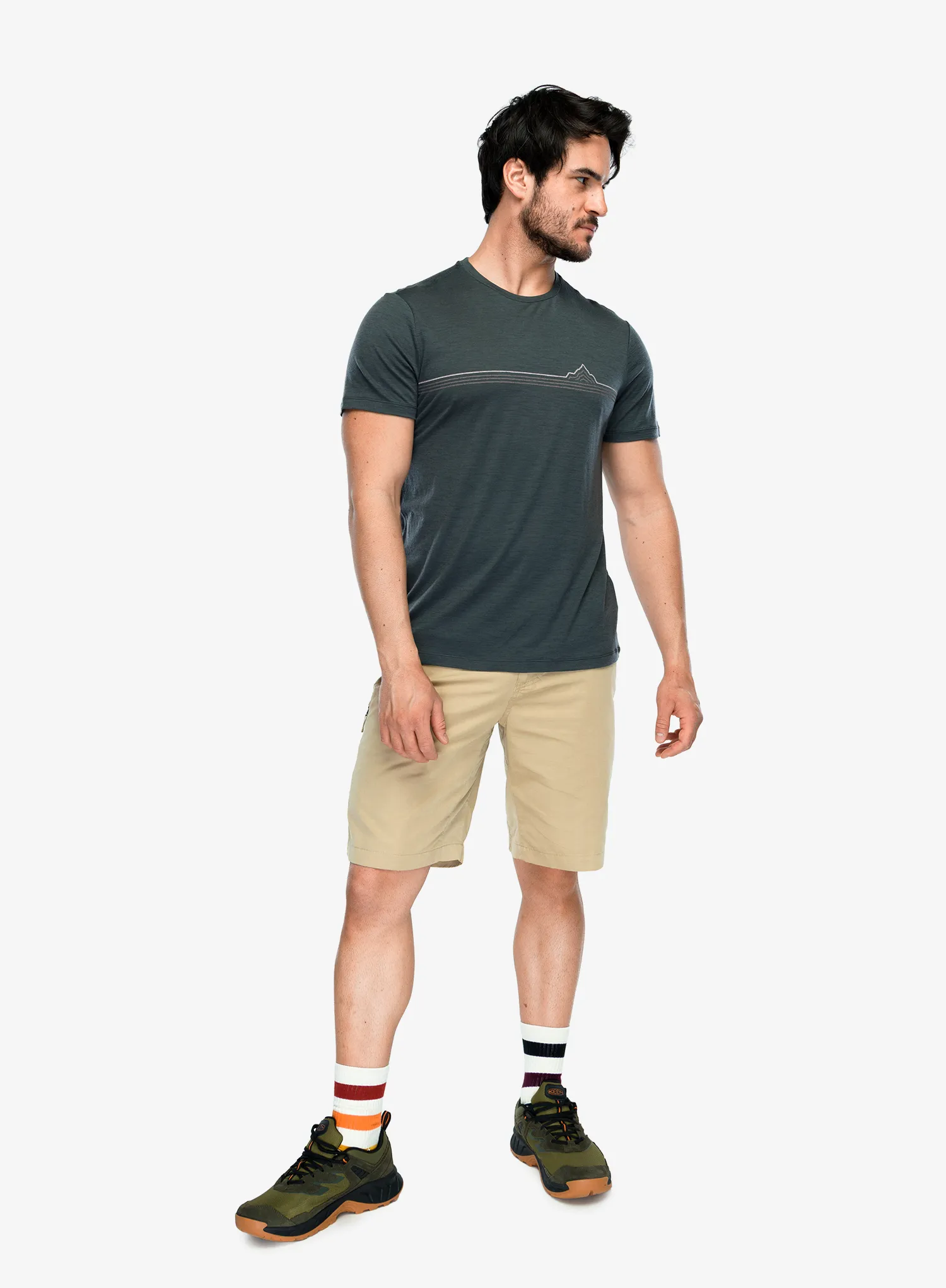 Tričko s potiskem Icebreaker Merino 150 Tech Lite SS Tee Range Stripes - obsidian